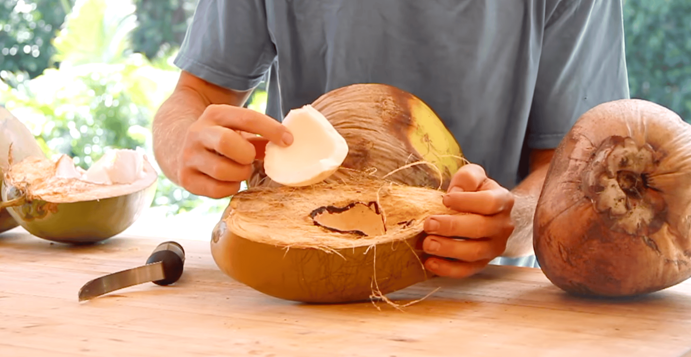 A person pulling out coconut meat out of a coconut. 