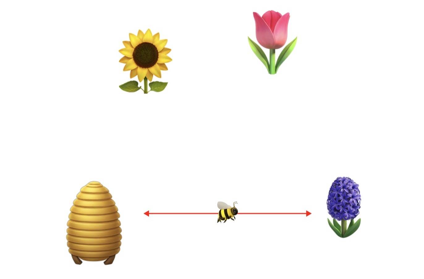 diagram showing a bee ignoring other plants and going directly back and forth from one