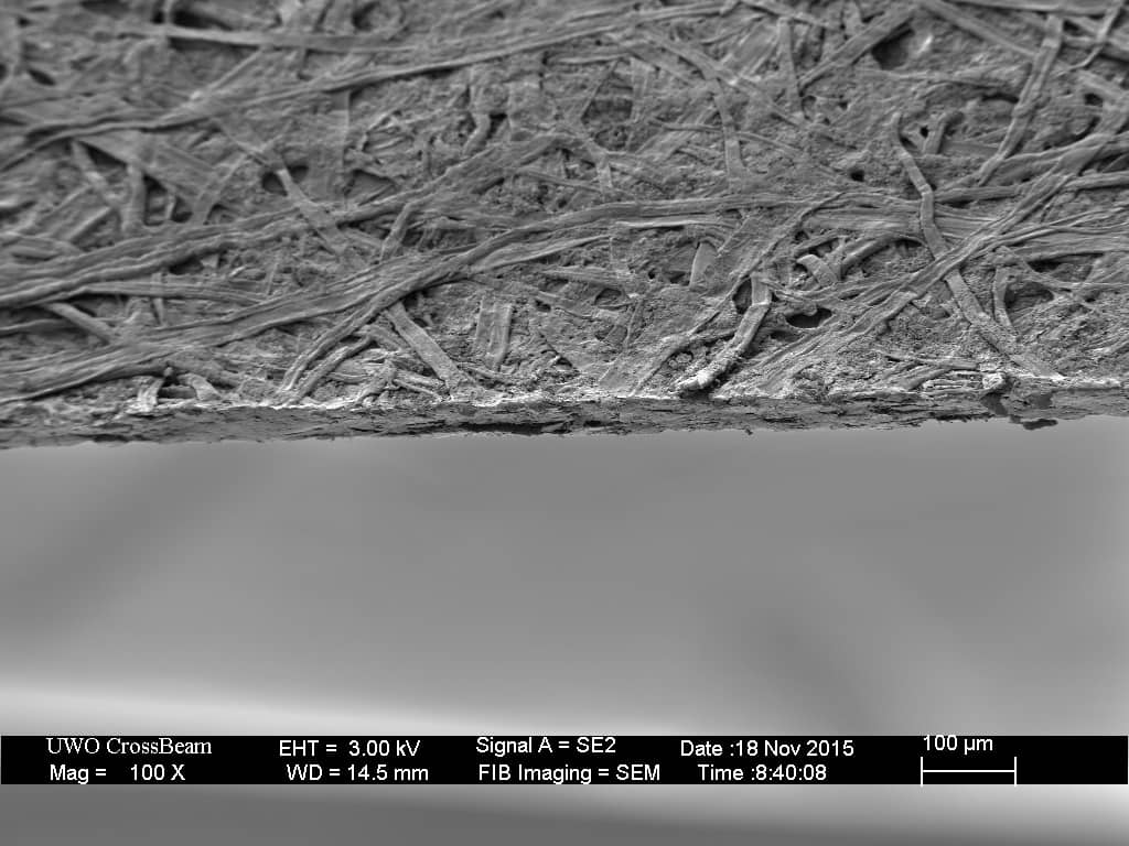 A sheet of notebook paper, cut at the factory edge, magnified 100x