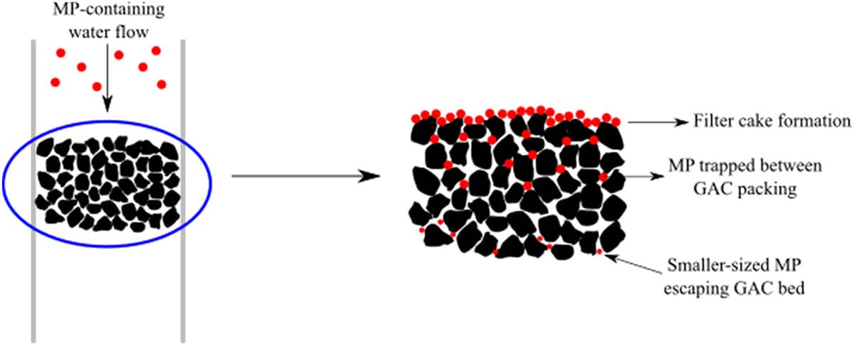 Diagram showing how activated charcoal captures microplastics.