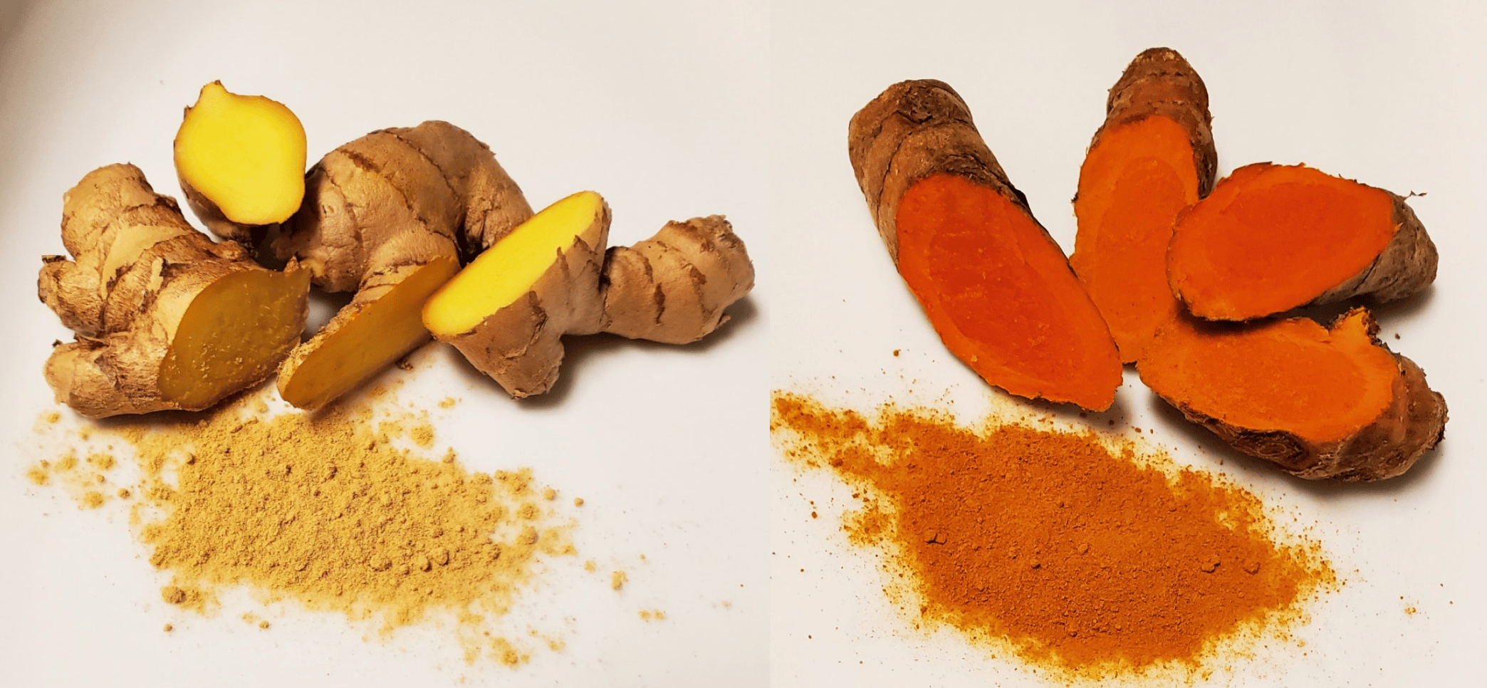 Left: Fresh and powdered ginger. Right: Fresh and powdered turmeric.