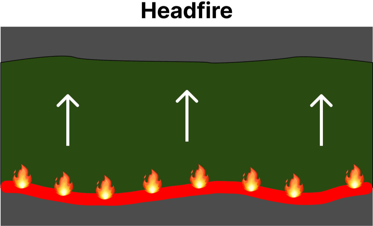 diagram of a head fire