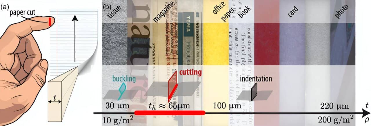 Diagram showing how the thickness of different types of paper can result in paper cuts.