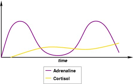 Chart showing how adrenaline spikes in cortisol rises with chronic stress. 