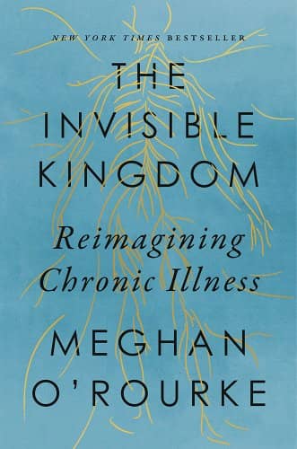 Book cover of "The Invisible Kingdom"