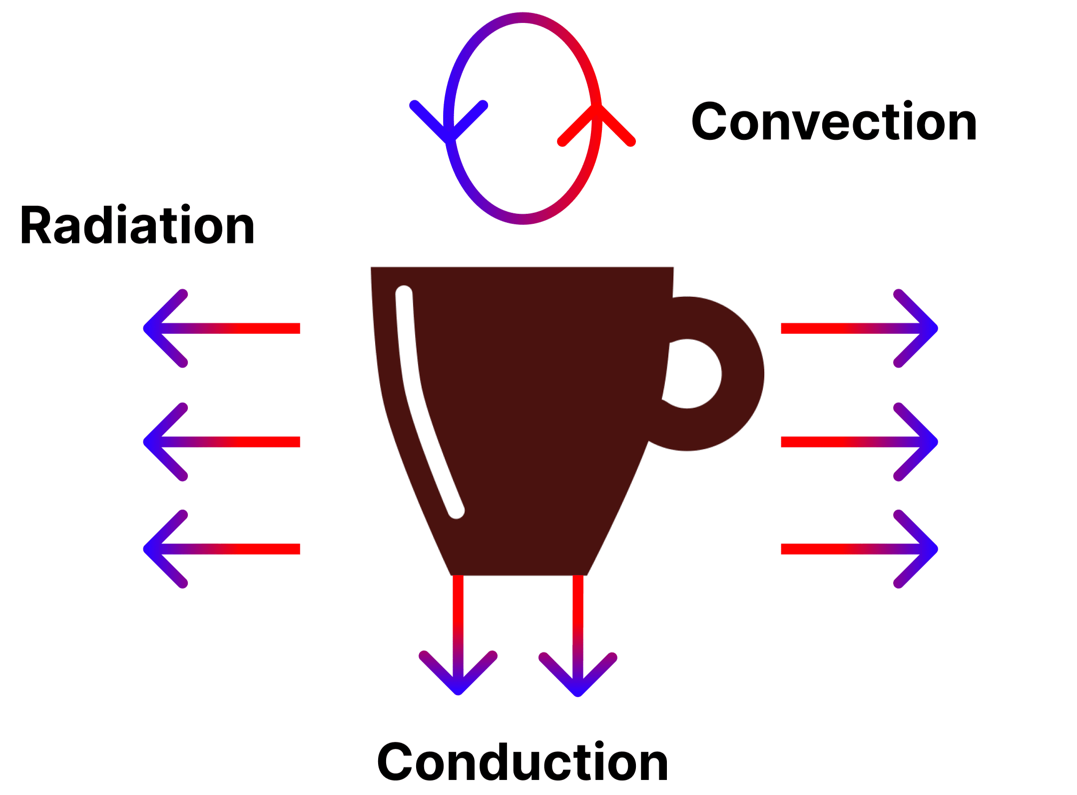 Diagram showing how a mug of hot coffee loses heat through radiation, convection, and conduction.