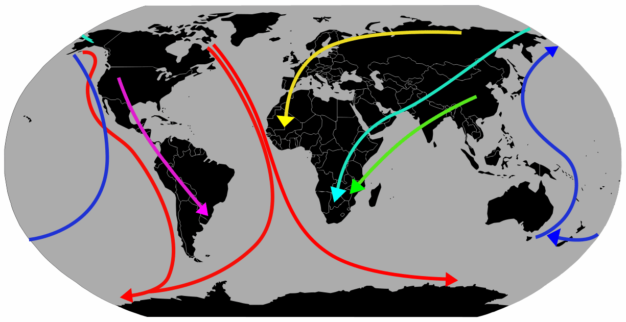 A map of Earth showing colored arrows that illustrate different migration paths birds take 