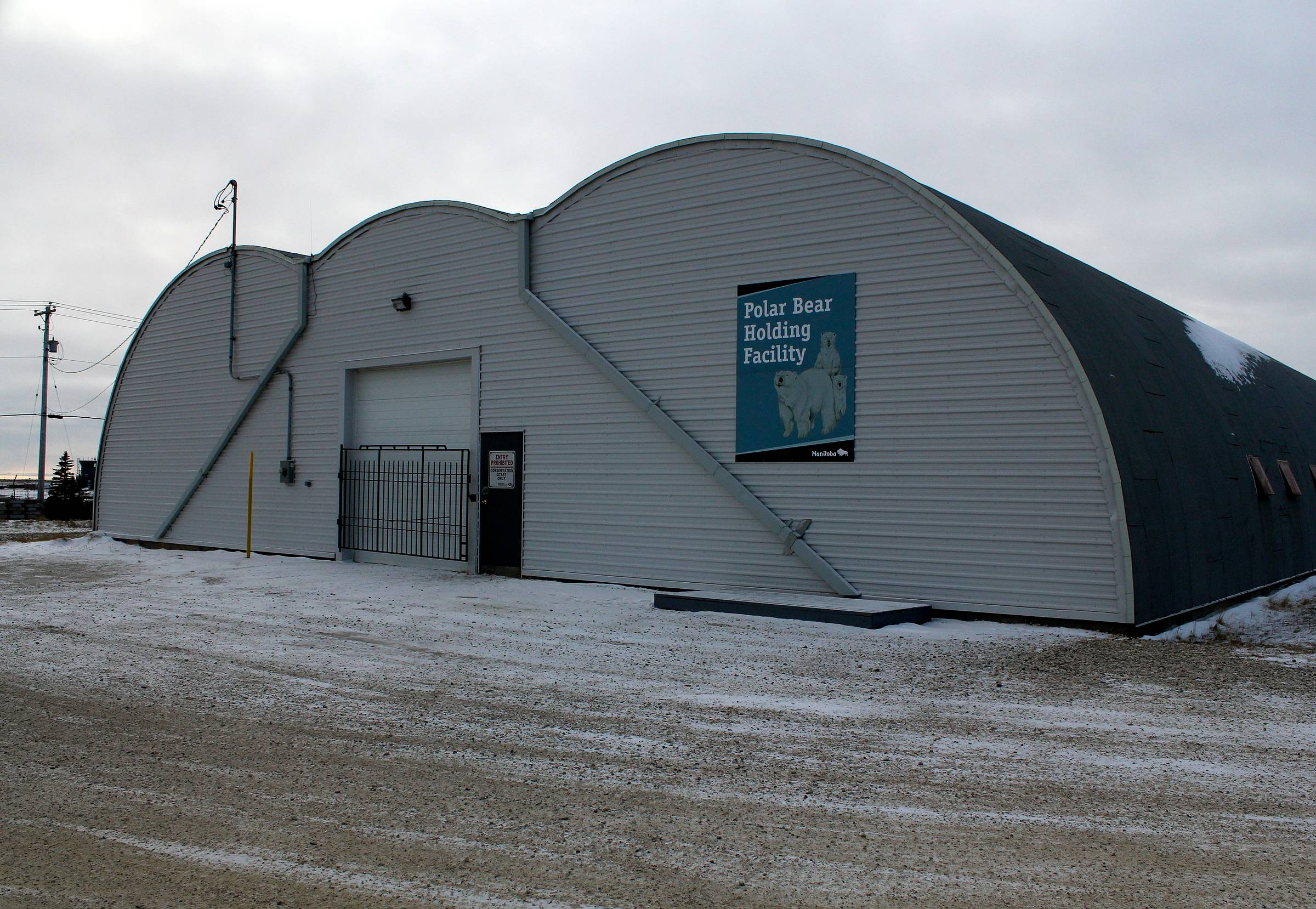 polar bear jail