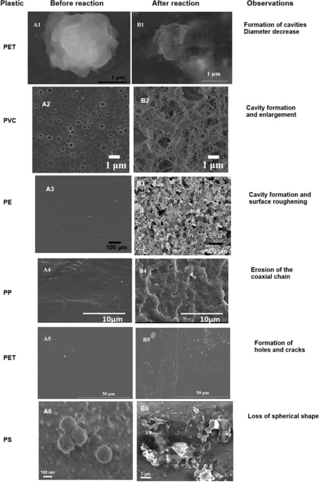 Before and after close-up images of plastic after chemical degradation. 