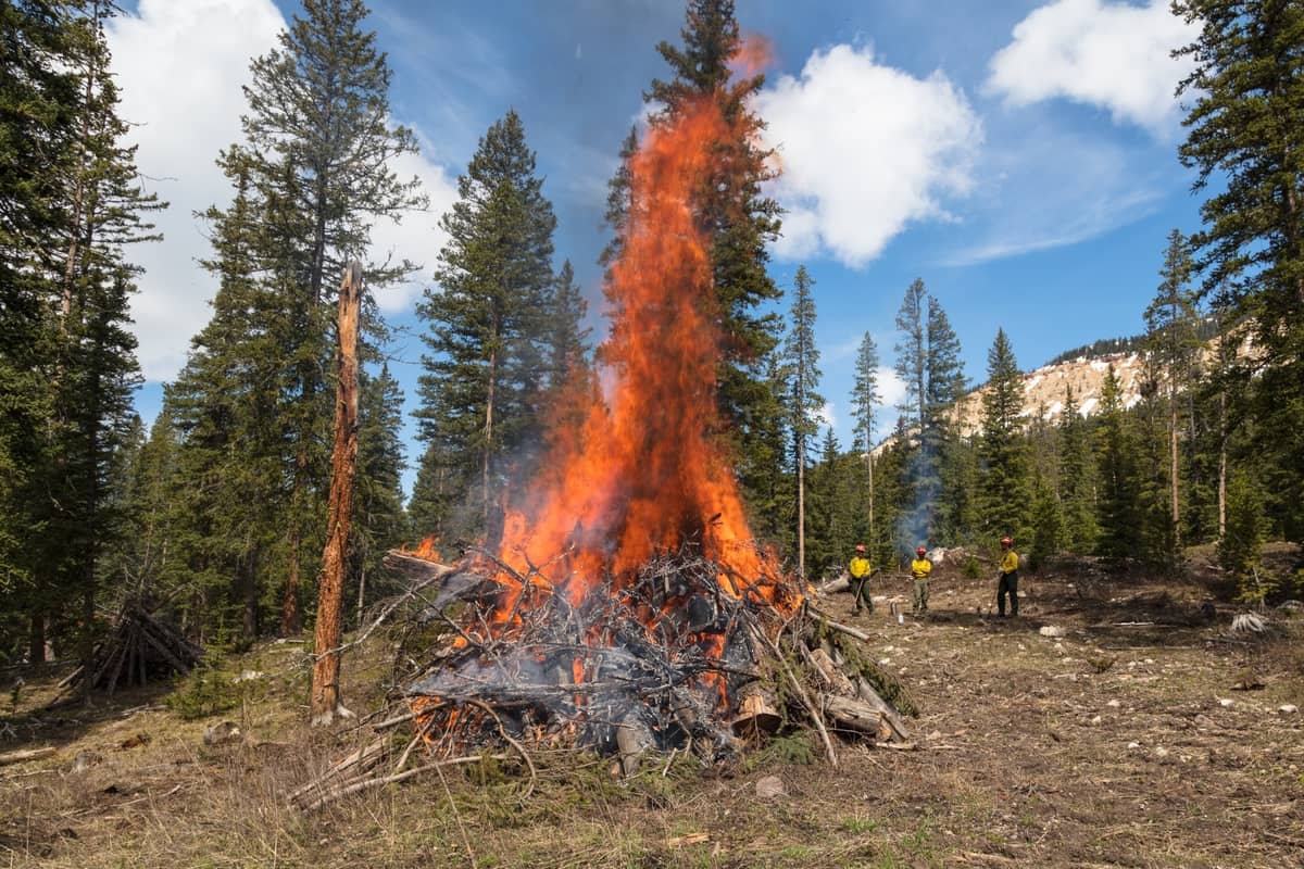 pile burning