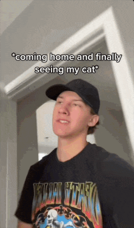 A GIF of a TikTok showing a man petting his cat and then showing off cute aggression, feelings of wanting to crush the cat 