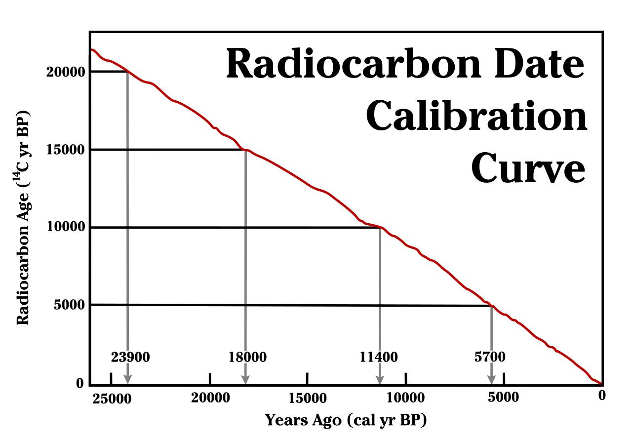 Graph titled "Radiocarbon Date Calibration Curve" showing the relationship between radiocarbon age ( 14 𝐶 14  C years BP) and calendar years ago (cal yr BP). The x-axis represents years ago from 0 to 25,000 cal yr BP, and the y-axis represents radiocarbon age from 0 to 20,000  14 𝐶 14  C years BP. The red curve demonstrates how radiocarbon ages deviate from actual calendar ages due to fluctuations in the amount of carbon-14 over time. Vertical lines at 23,900, 18,000, 11,400, and 5,700 cal yr BP indicate specific points where calibration is necessary to account for these deviations.