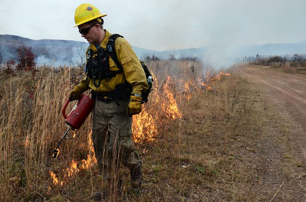 controlled burn