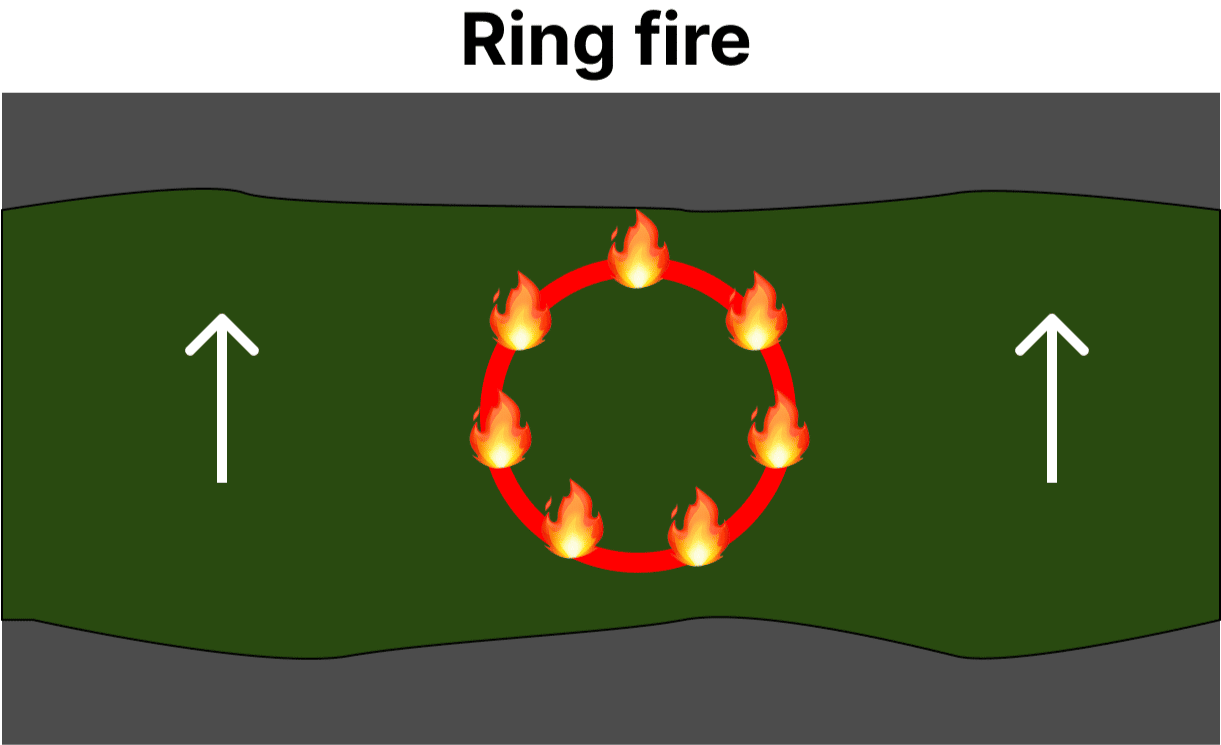 diagram of a ring fire