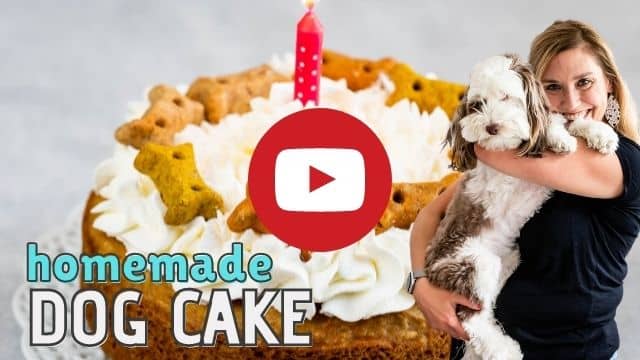 thumbnail for dog cake