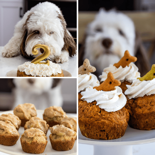 collage of dog food photos