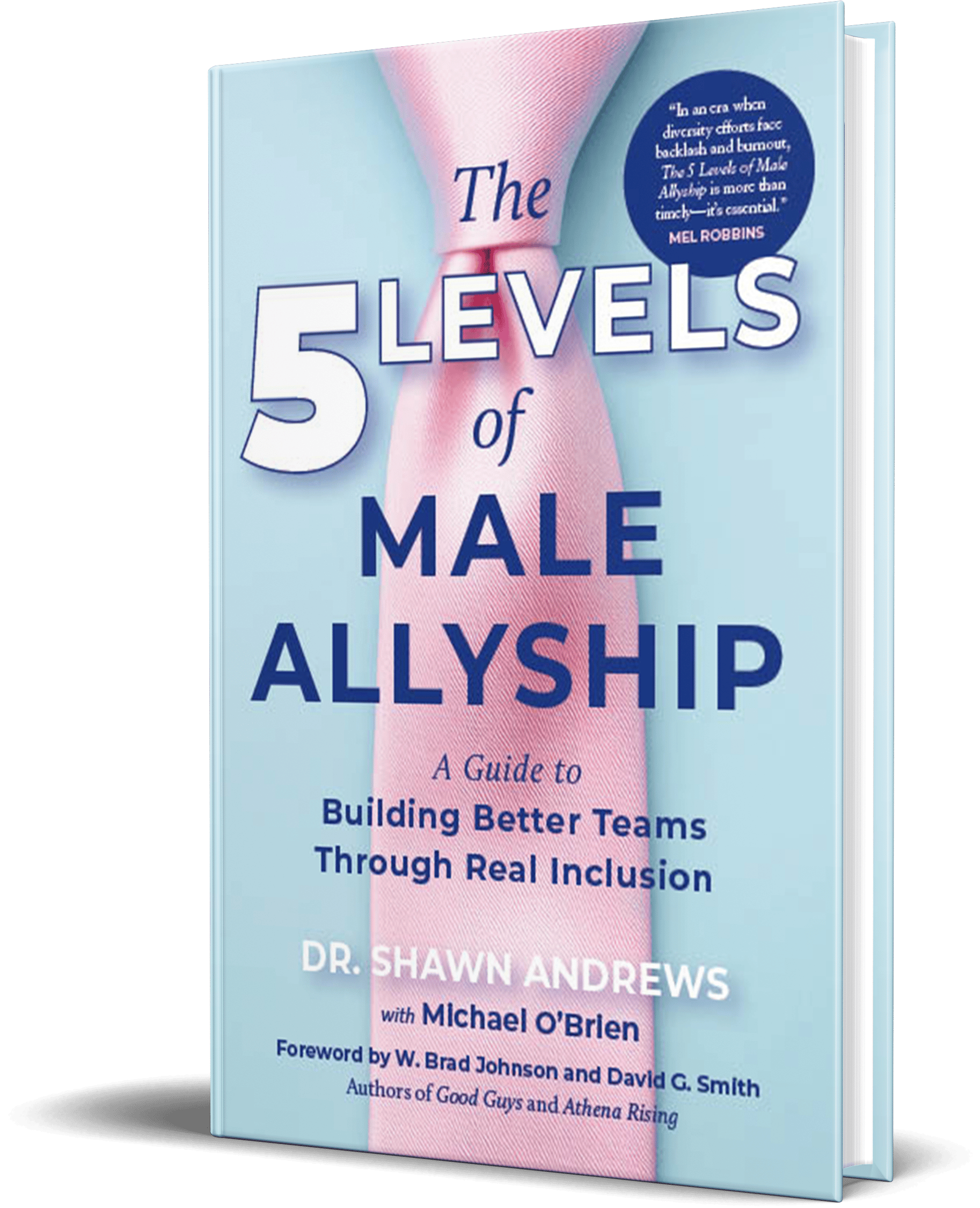 Cover of 5 Levels of Male Allyship book