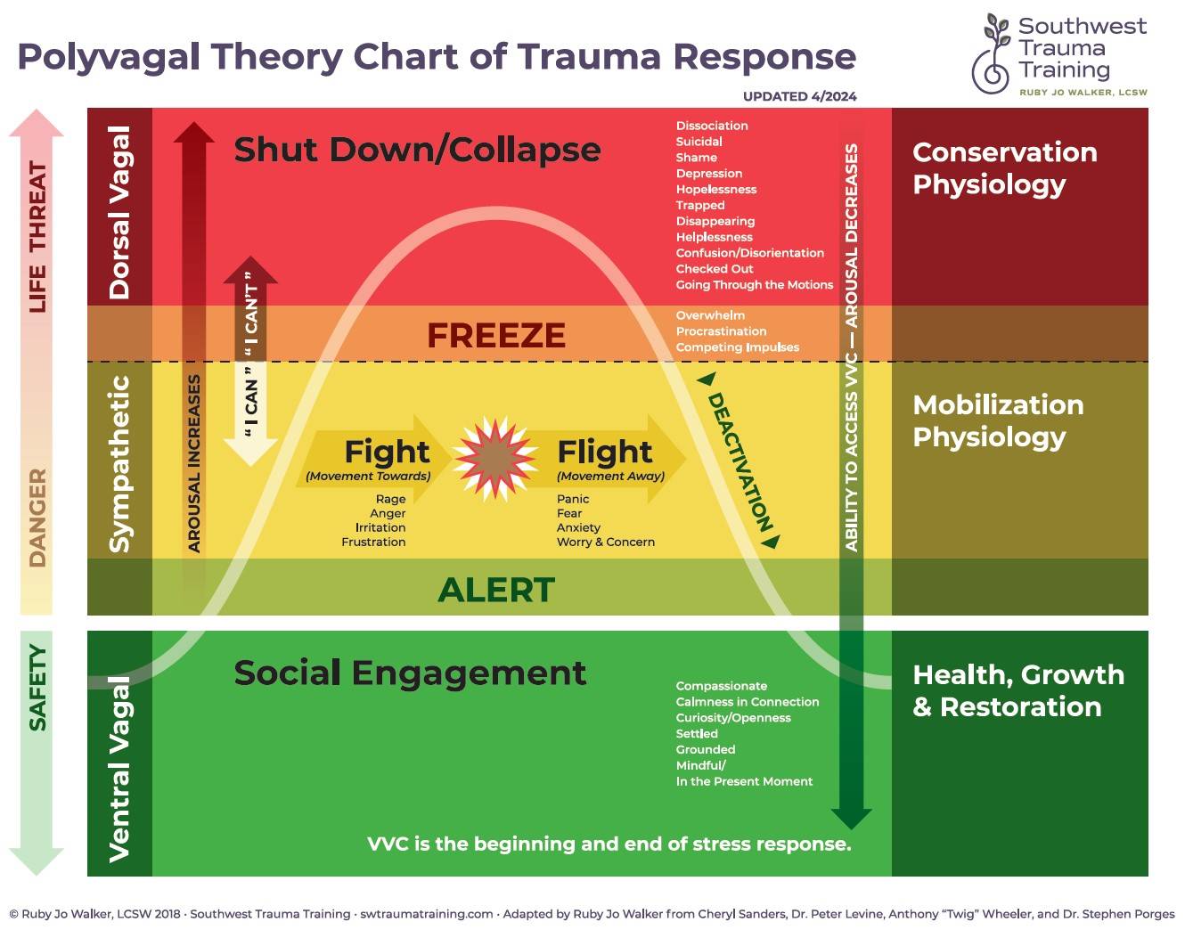 A graphic representation of the Autonomic Nervous System and trauma responses under Polyvagal Theory.