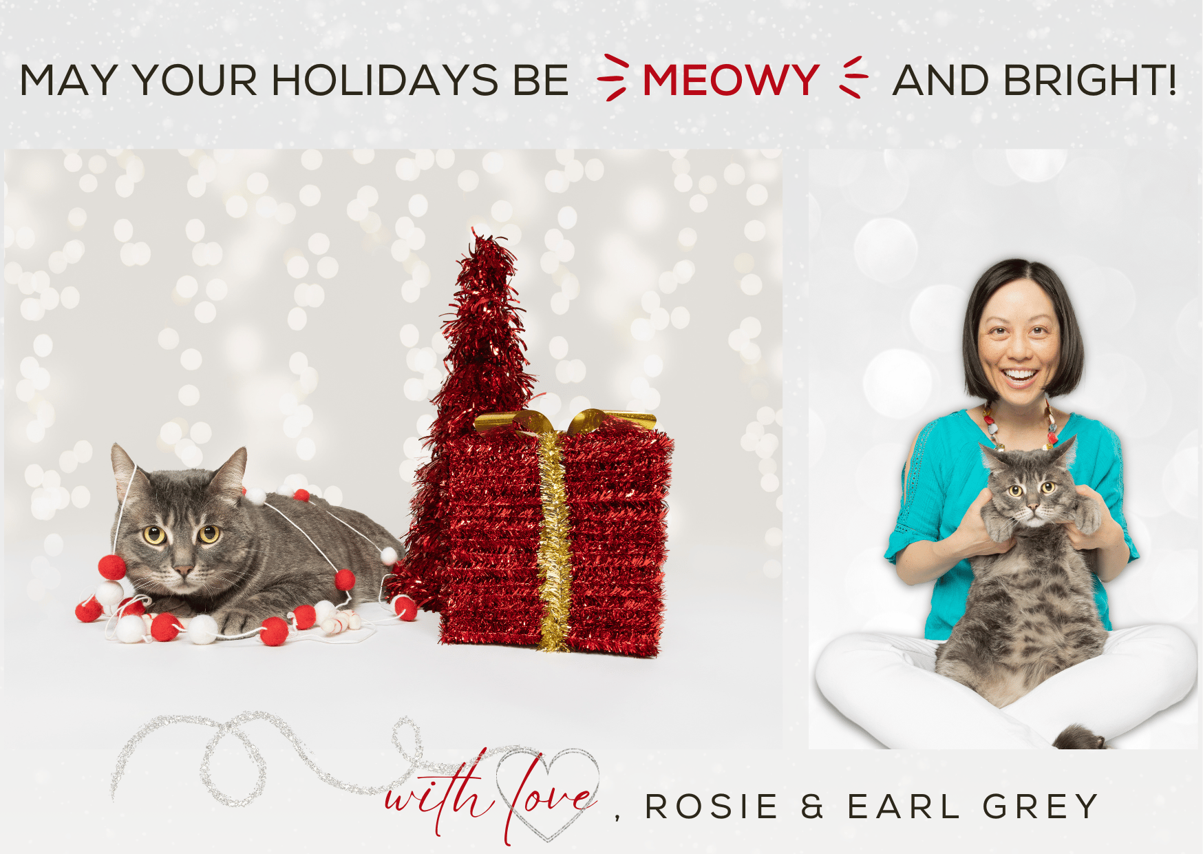 Holiday greeting card of Earl Grey (cat) and Rosie. Message reads: “May your holidays be ‘meowy’ and bright! With Love, Rosie & Earl Grey.” Left side photo shows Earl Grey covered in a red-and-white ball string, lying next to a red tinsel tree and boxed gift. Right side photo shows Rosie wearing a turquoise top and white pants holding Earl Grey.