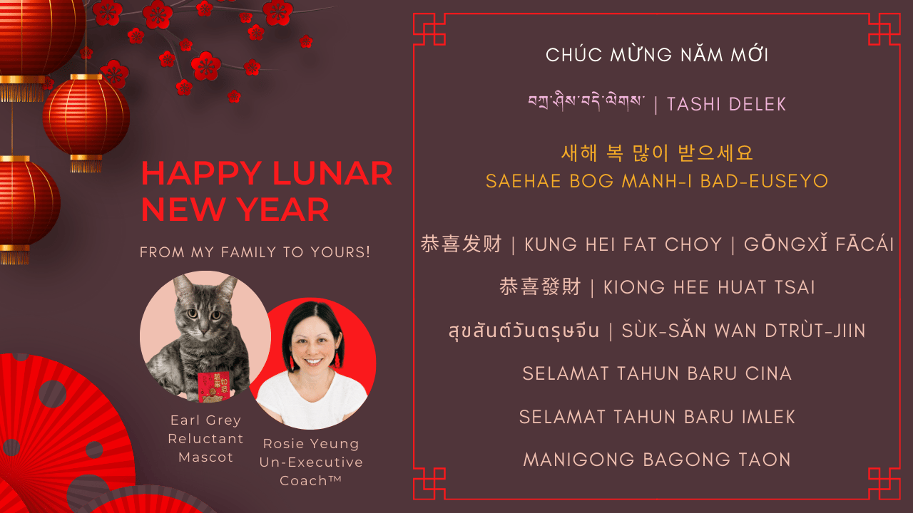 Purple rectangular graphic with red flowers, circles, photos of a grey tabby cat and an Asian woman, and text of Lunar New Year greetings in different languages.