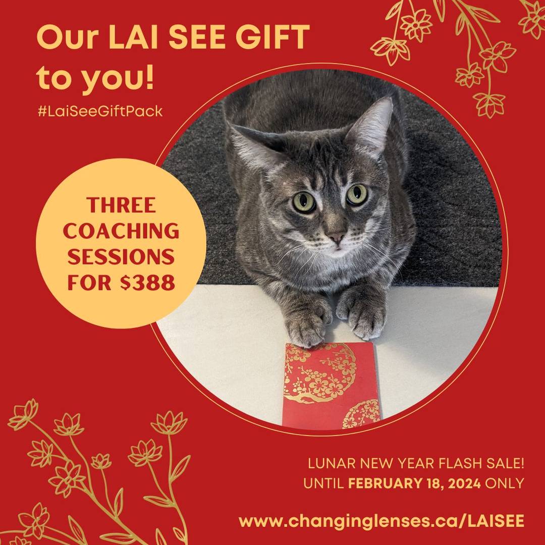 Lai See Gift pack promotion graphic