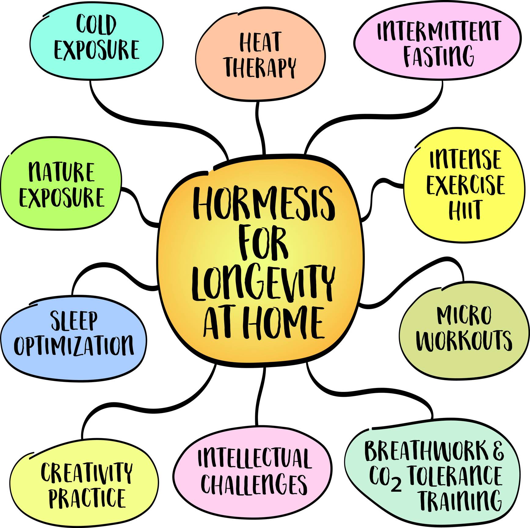 Pictorial representation of hormesis 