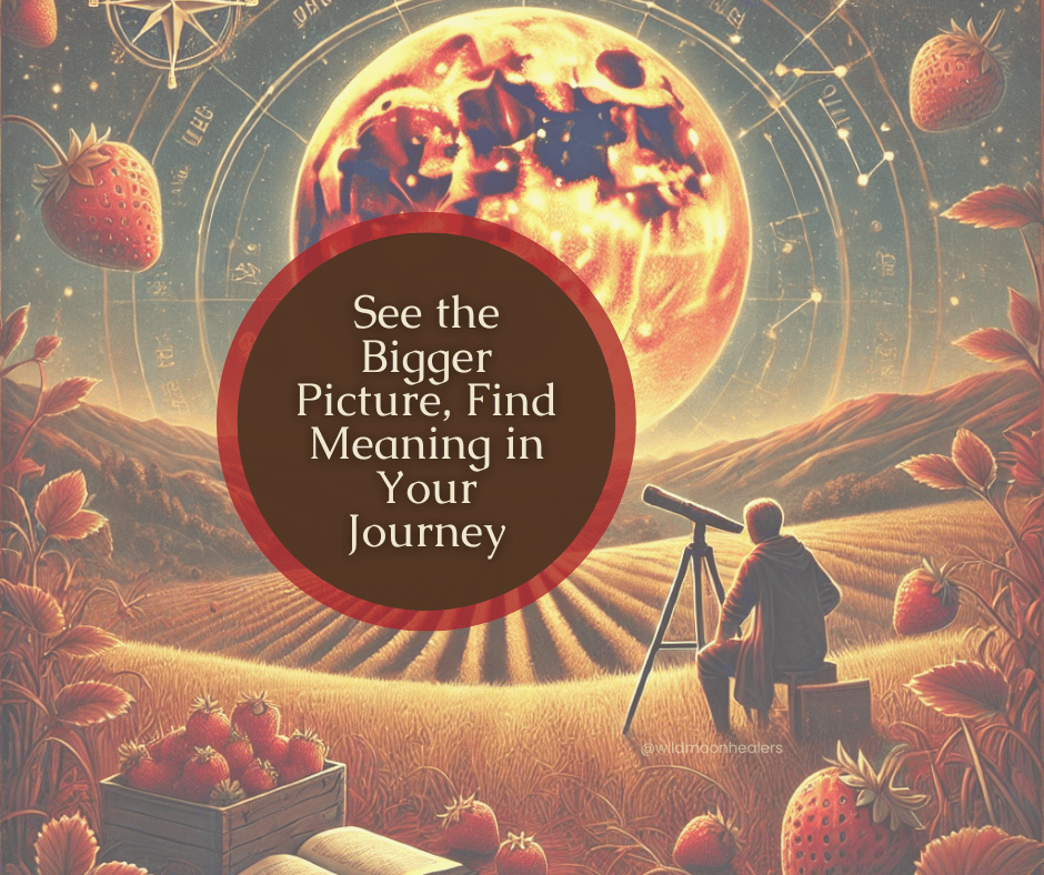 Illustration of a vivid strawberry-colored full moon rising over a golden field under a zodiac sky. A person sits with a telescope, looking upward, surrounded by strawberries and an open book. In the center, text reads: “See the Bigger Picture, Find Meani
