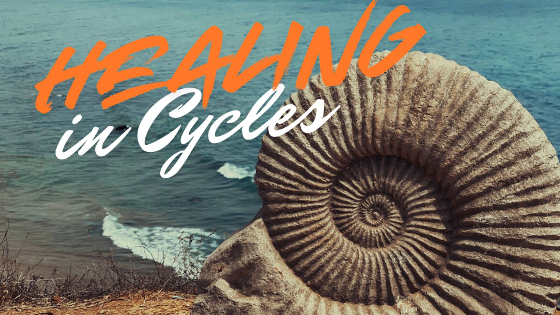 Ammonite fossil on a coastal cliff representing healing in cycles and the natural rhythm of personal growth and transformation.