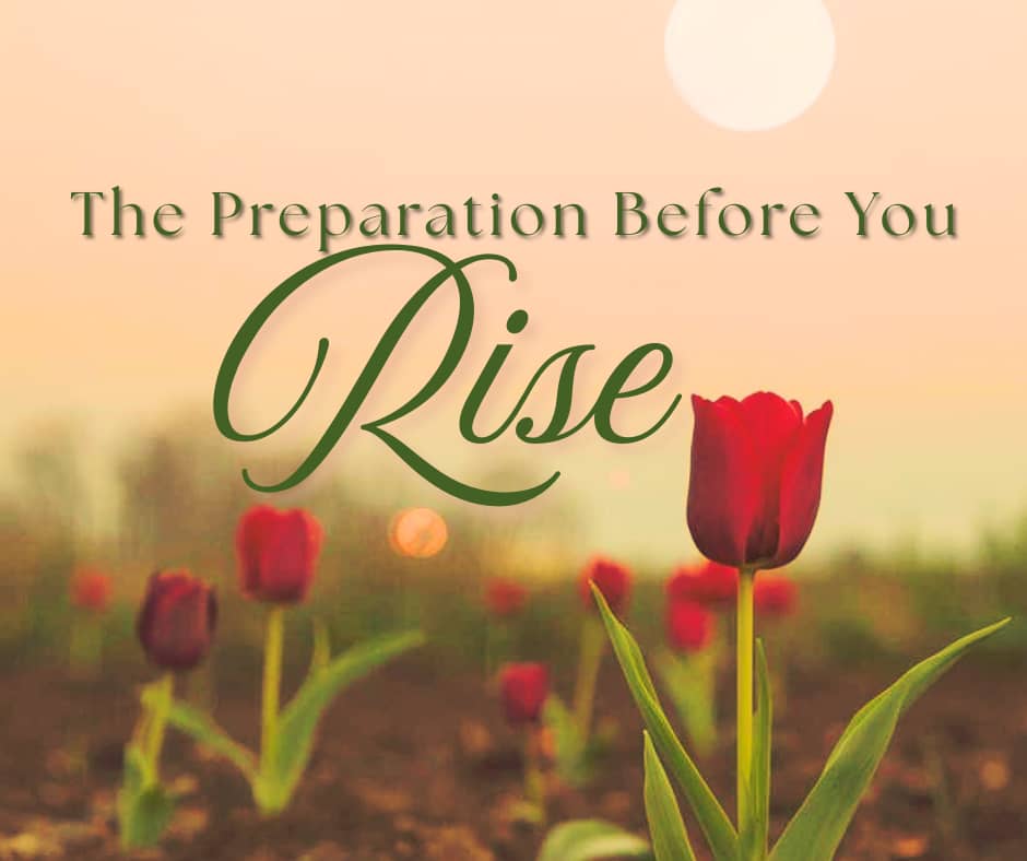 Red tulips emerging from dark soil at dawn under a soft full moon, with the words “The Preparation Before You Rise,” symbolizing the Full Moon in Virgo and personal empowerment before spring.