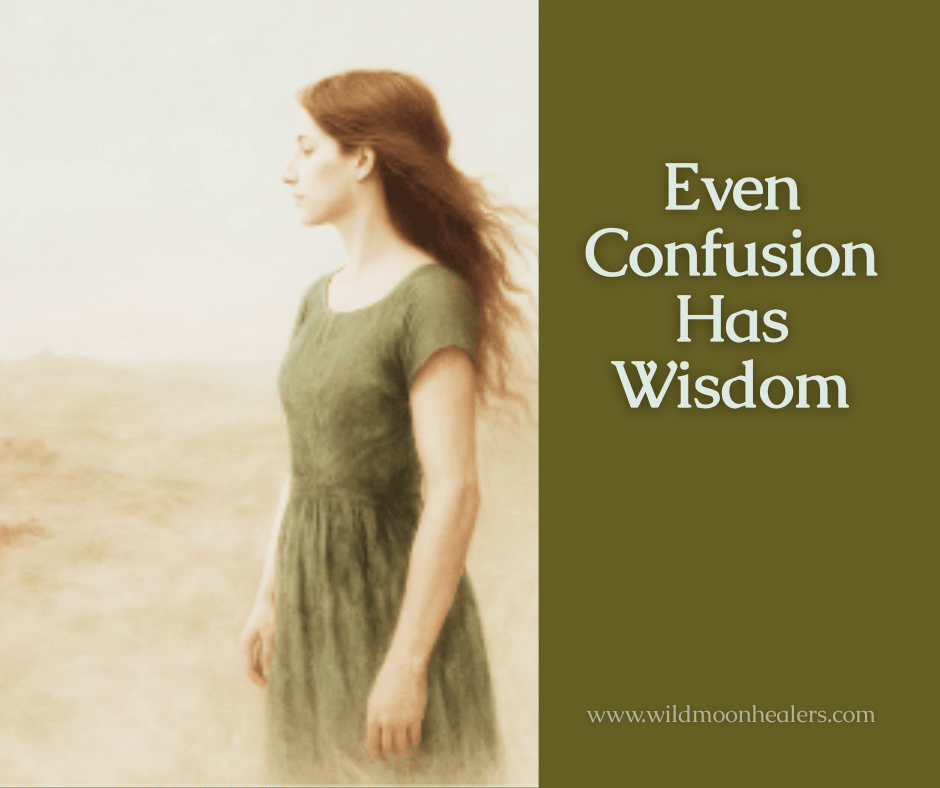 A soft-focus image of a woman in a green dress standing in a muted desert landscape, facing left with her hair gently blowing in the wind. The right side of the image features a solid black background with the text: “Even Confusion Has Wisdom” and the web