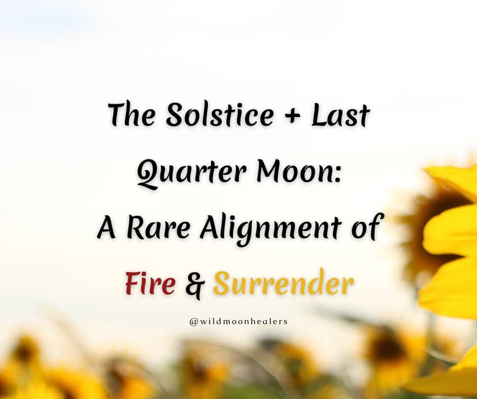 A soft, sunlit field of sunflowers stretches into the distance. On the right, a large sunflower is in focus, while others fade into a gentle blur. Overlay text reads: “The Solstice + Last Quarter Moon: A Rare Alignment of Fire & Surrender.” The image evok