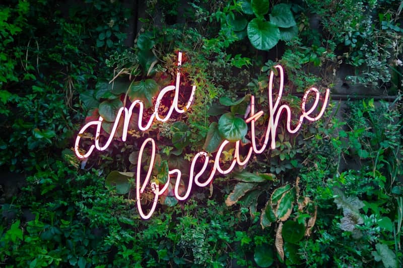 and breathe neon sign on plant wall