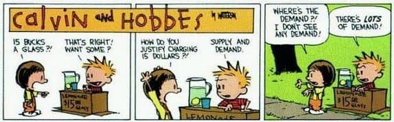 Calvin and Hobbes comic about customer demand ? :book