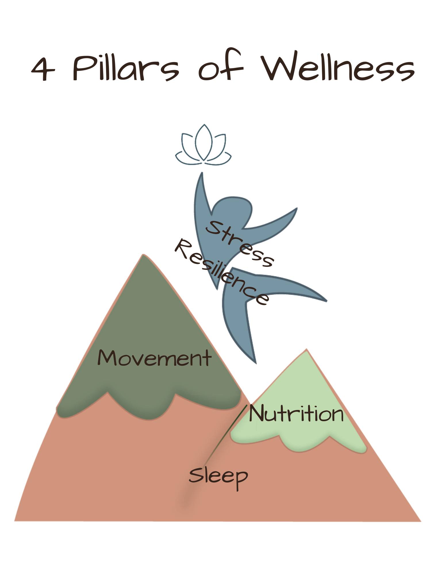 Sleep, Nutrition, Movement, Stress Resilience