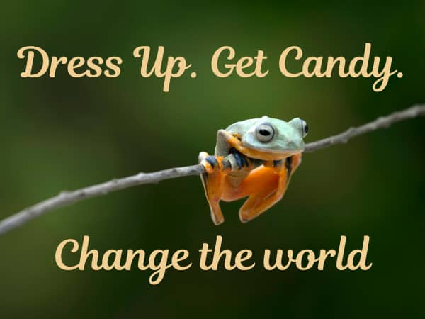 Green frog with orange underside grasping a thin twig against a dark green background. The words say Dress up. Get Candy. Change the World.
