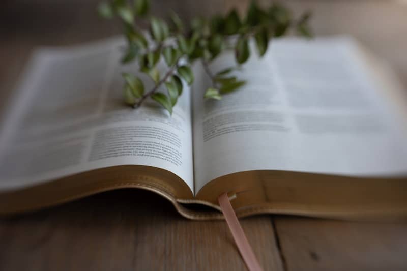 Open book with green leaves and bookmark
