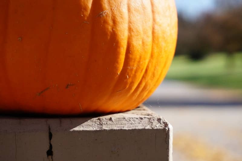 Close-up of an orange pumpkin on a ledge