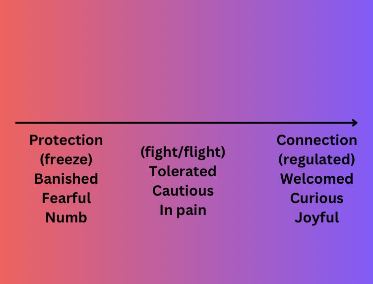 human nervous system spectrum