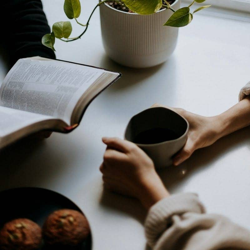person reading book beside green plant in white ceramic pot