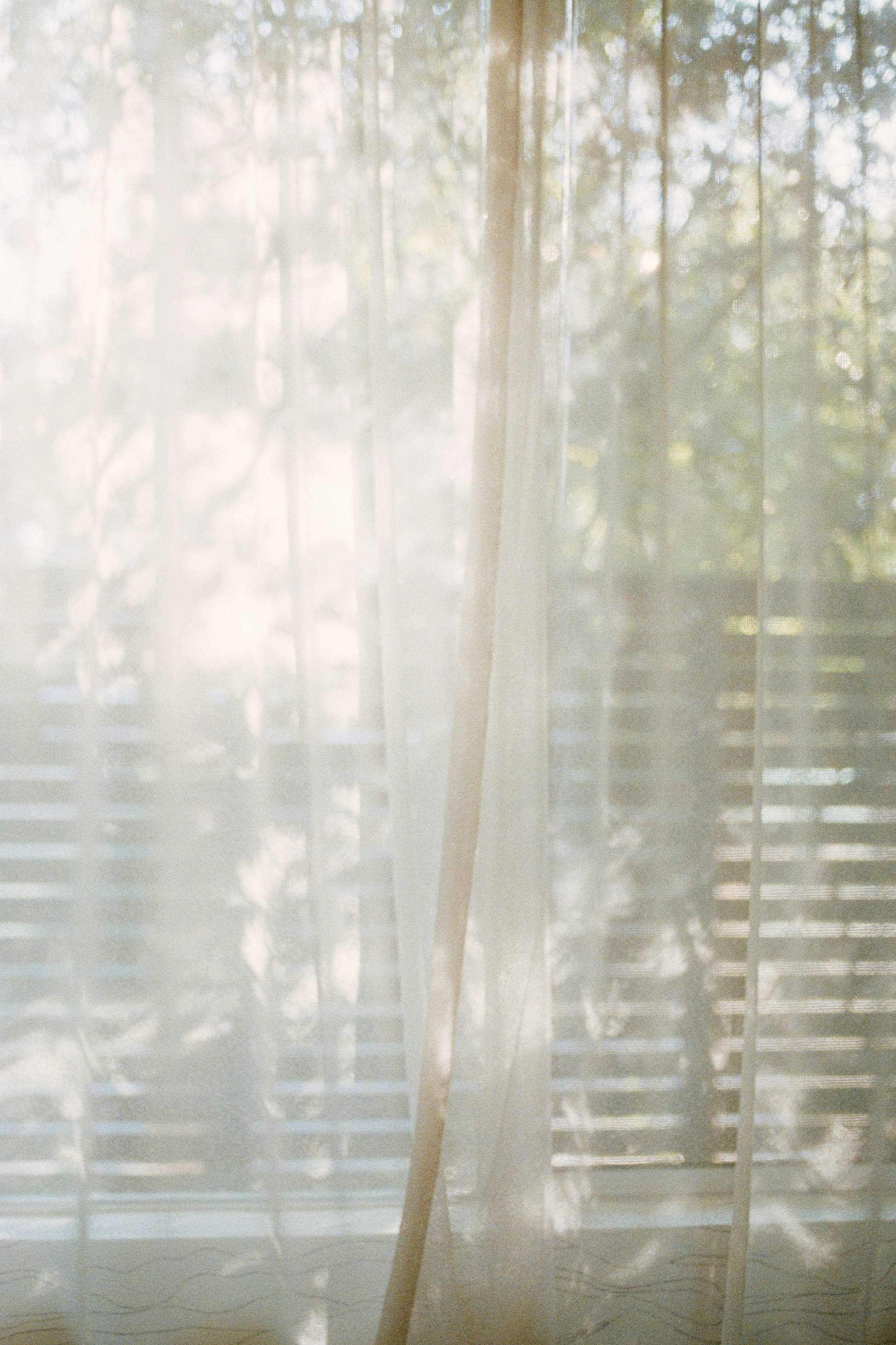bright morning light on trees obscured by sheer curtains
