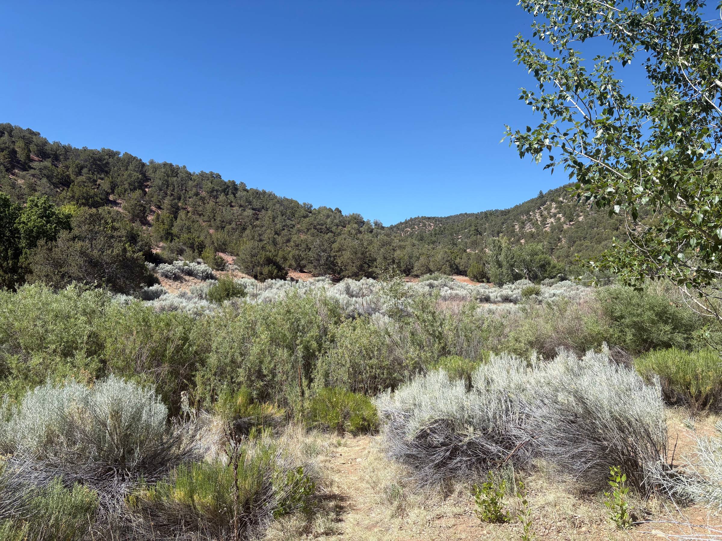 Sacred Lands of New Mexico