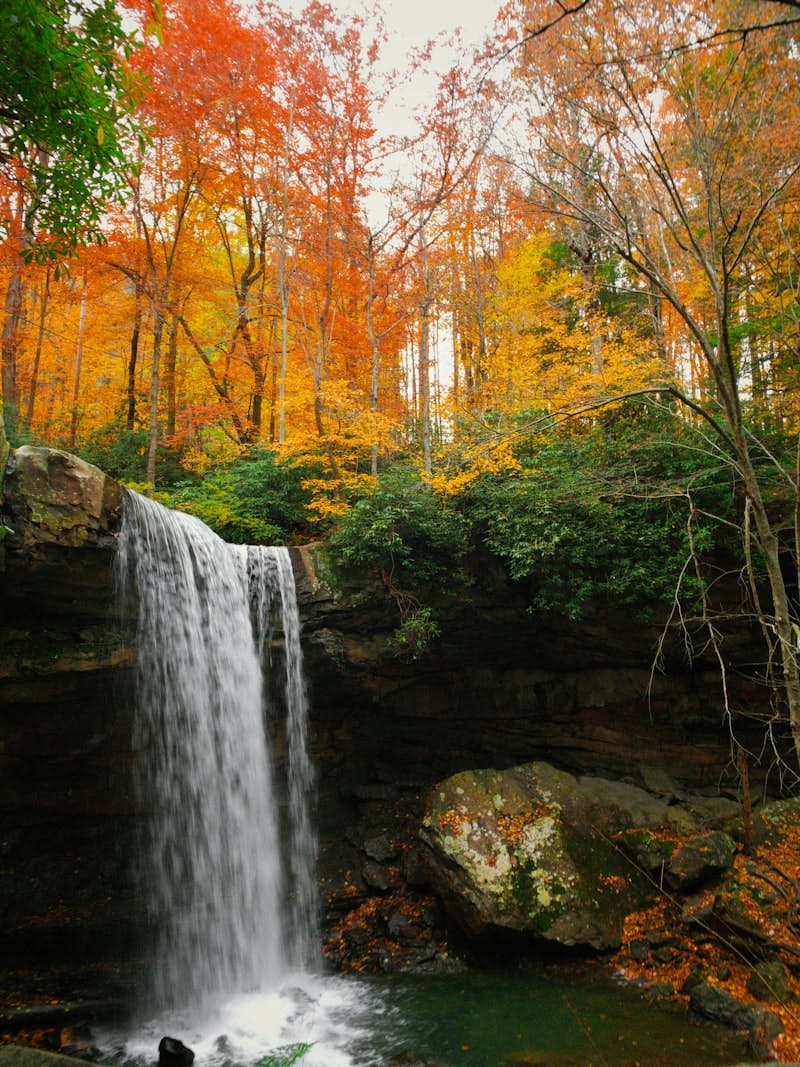 waterfalls on forest