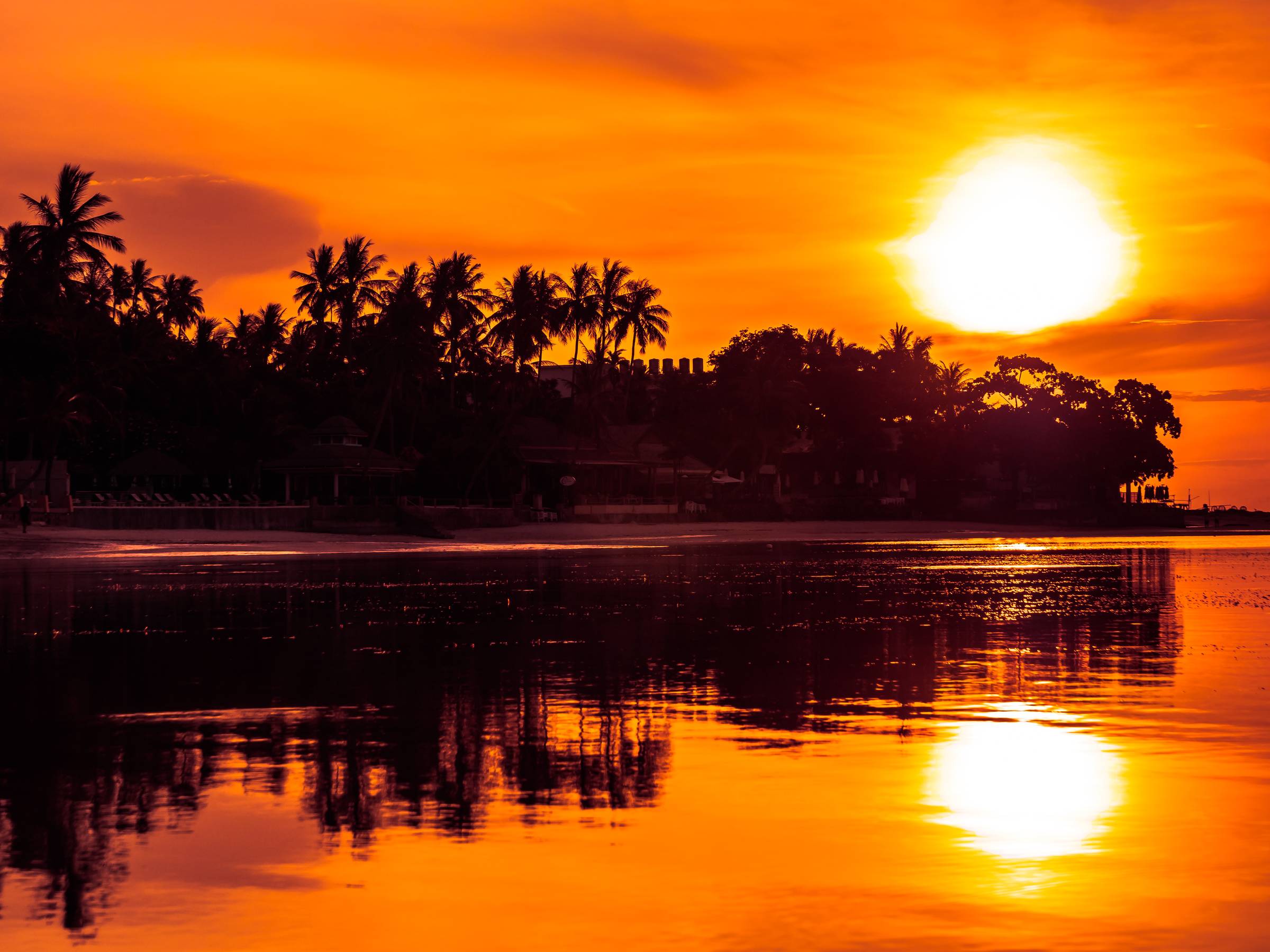 Image of an orange sky with a setting sun and a silhouette of black trees reflected in a body of water