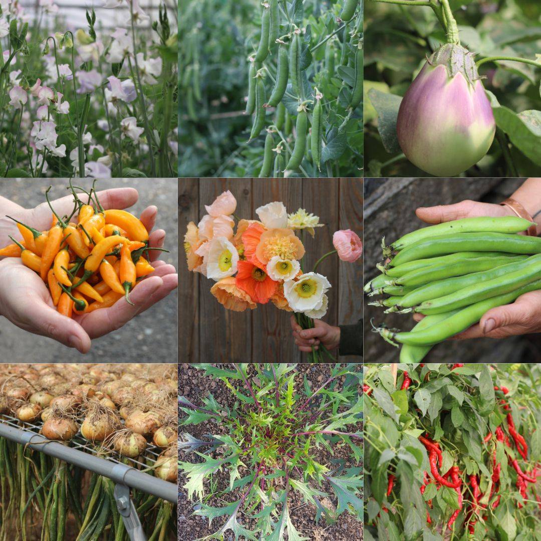 thumbnail placeholder