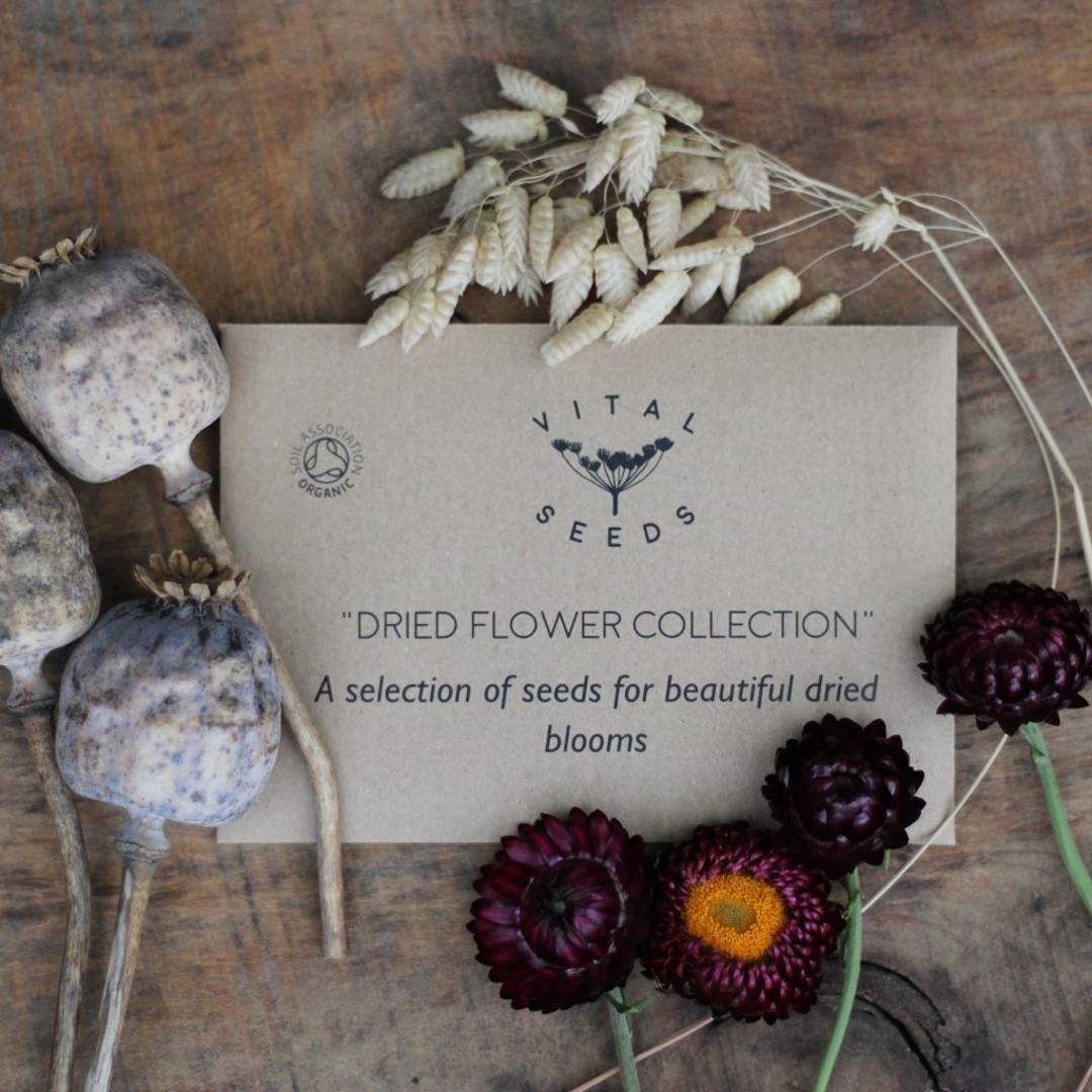 Dried flowers seed collection