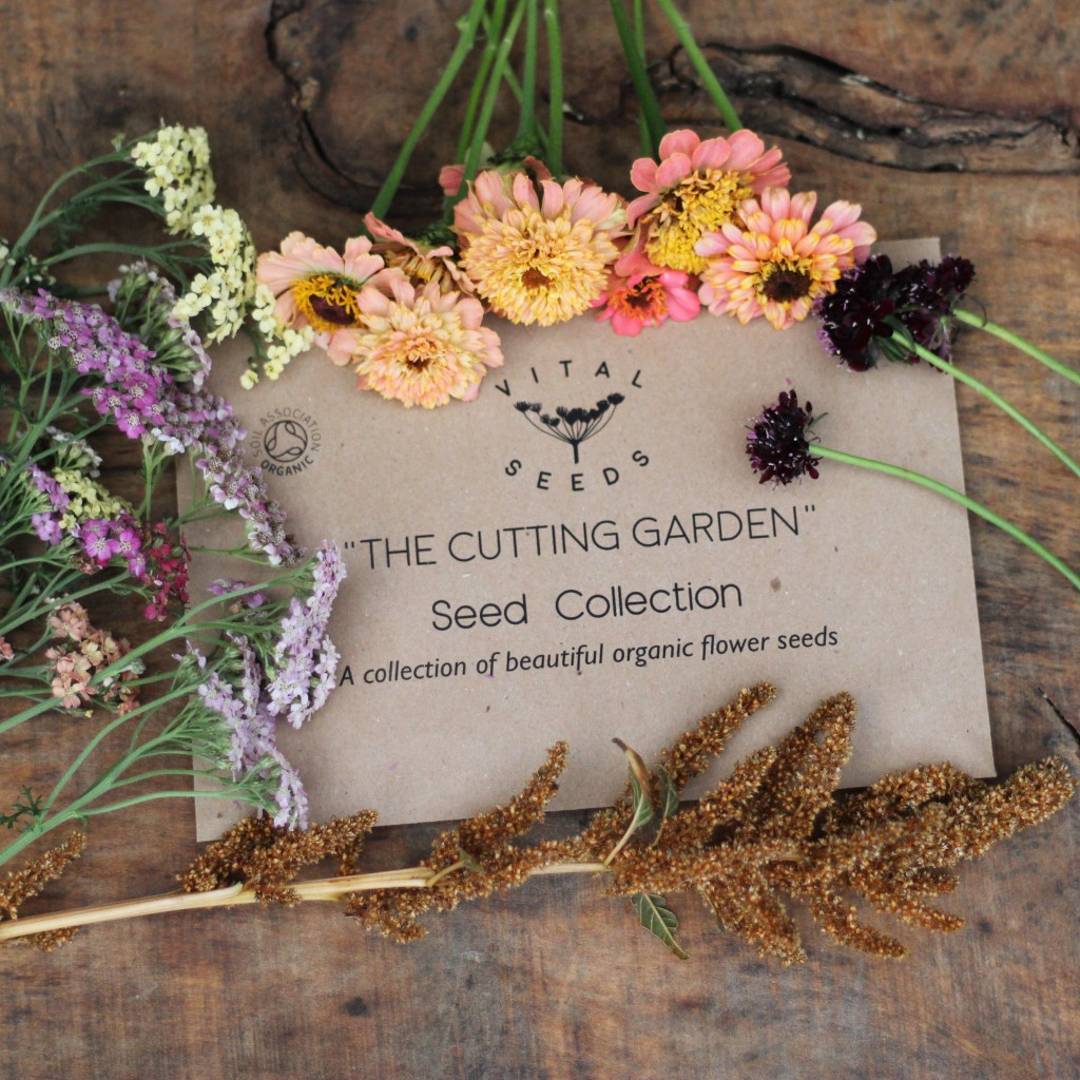 Cutting garden seed collection