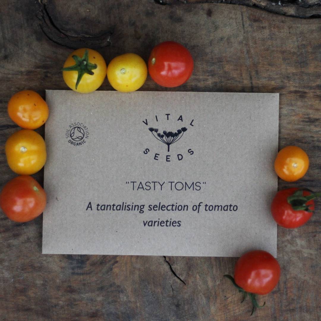 Tasty toms seed collection