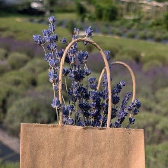 A brown paper bag with lavender flowers in it