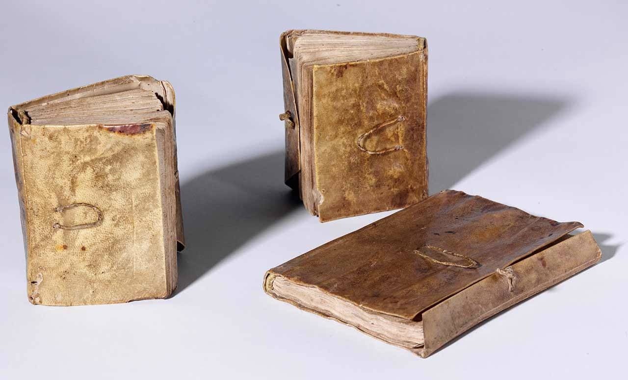 3 notebooks of the Codex Forster by Leonard da Vinci