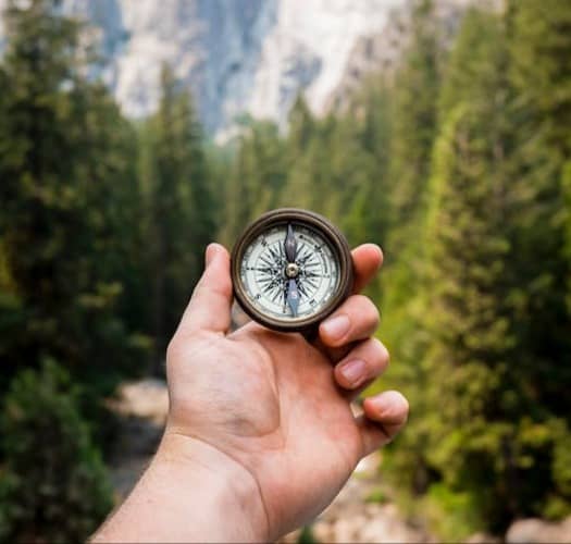 person holding compass facing towards green pine trees